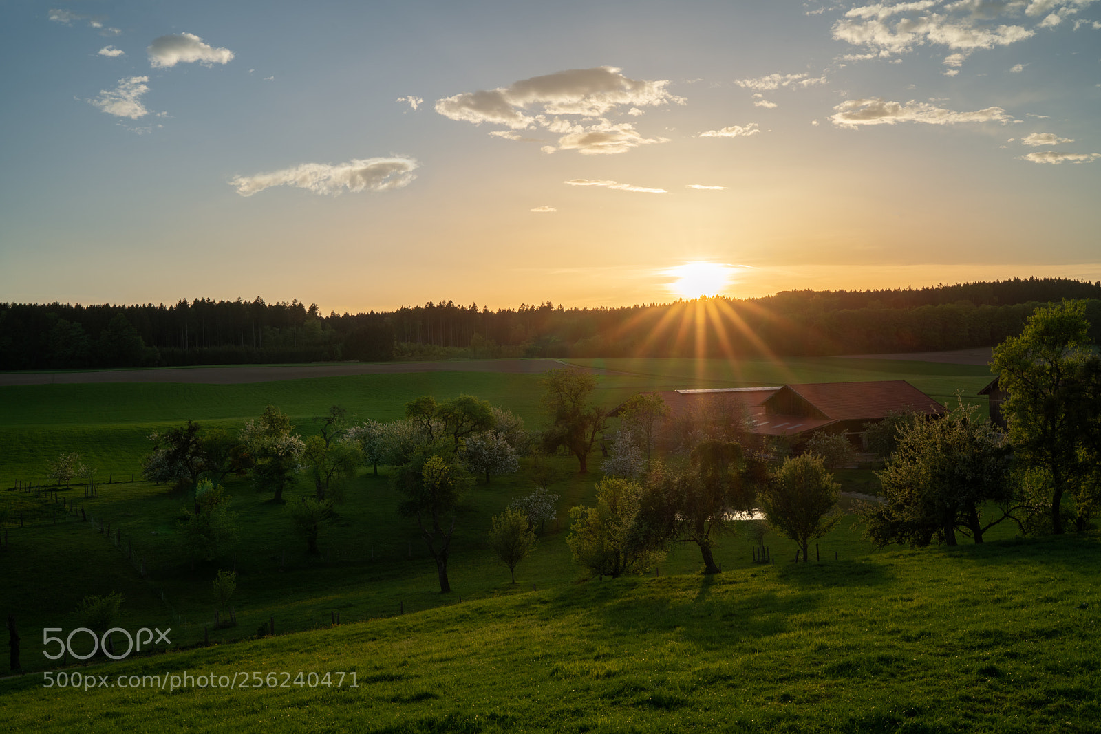 Sony a7R III sample photo. Sunset photography