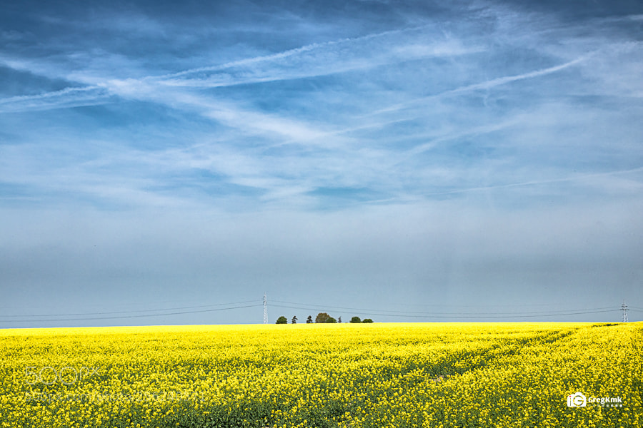 Canon EOS 80D sample photo. Blue and yellow world photography