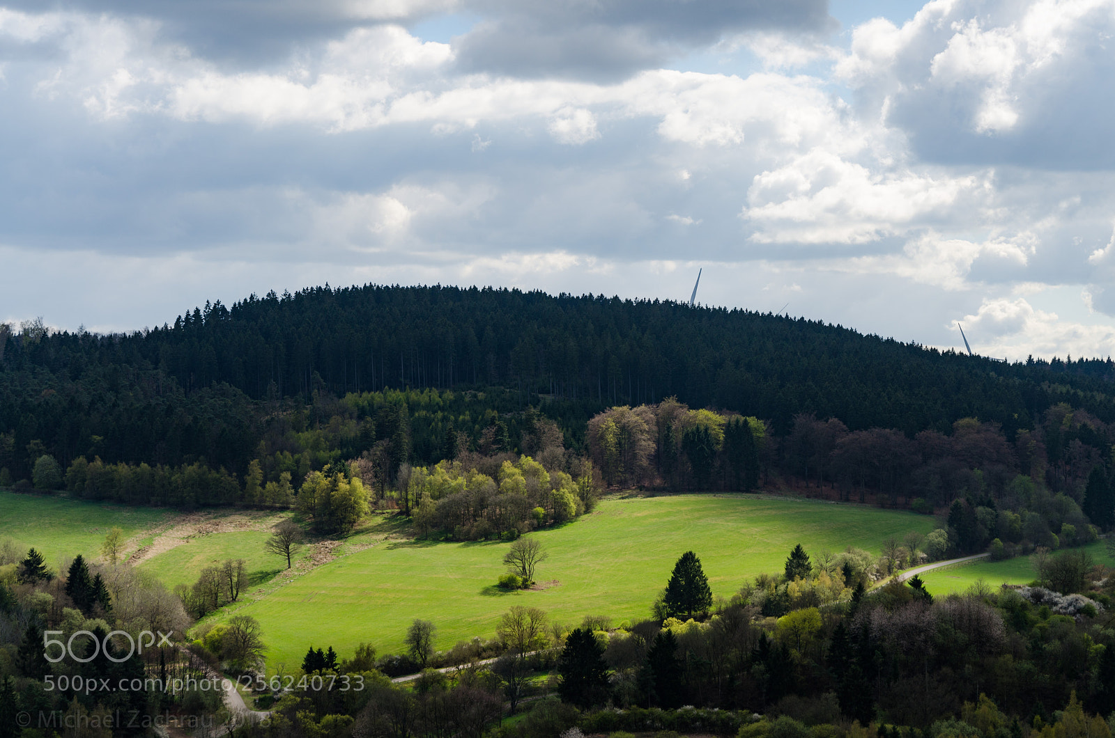 Nikon D7000 sample photo. Spring eifel photography
