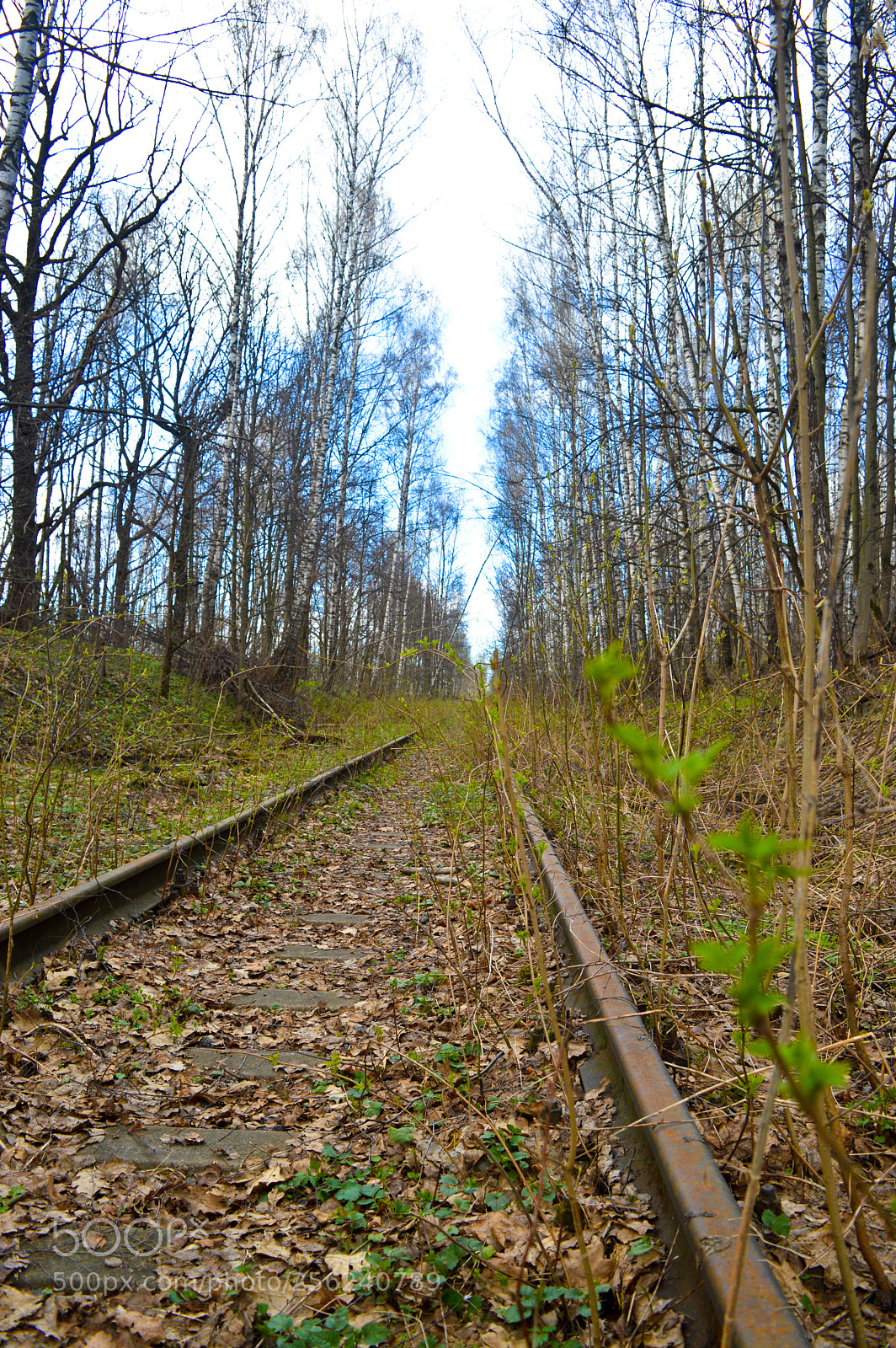 Nikon D3200 sample photo. Untitled photography