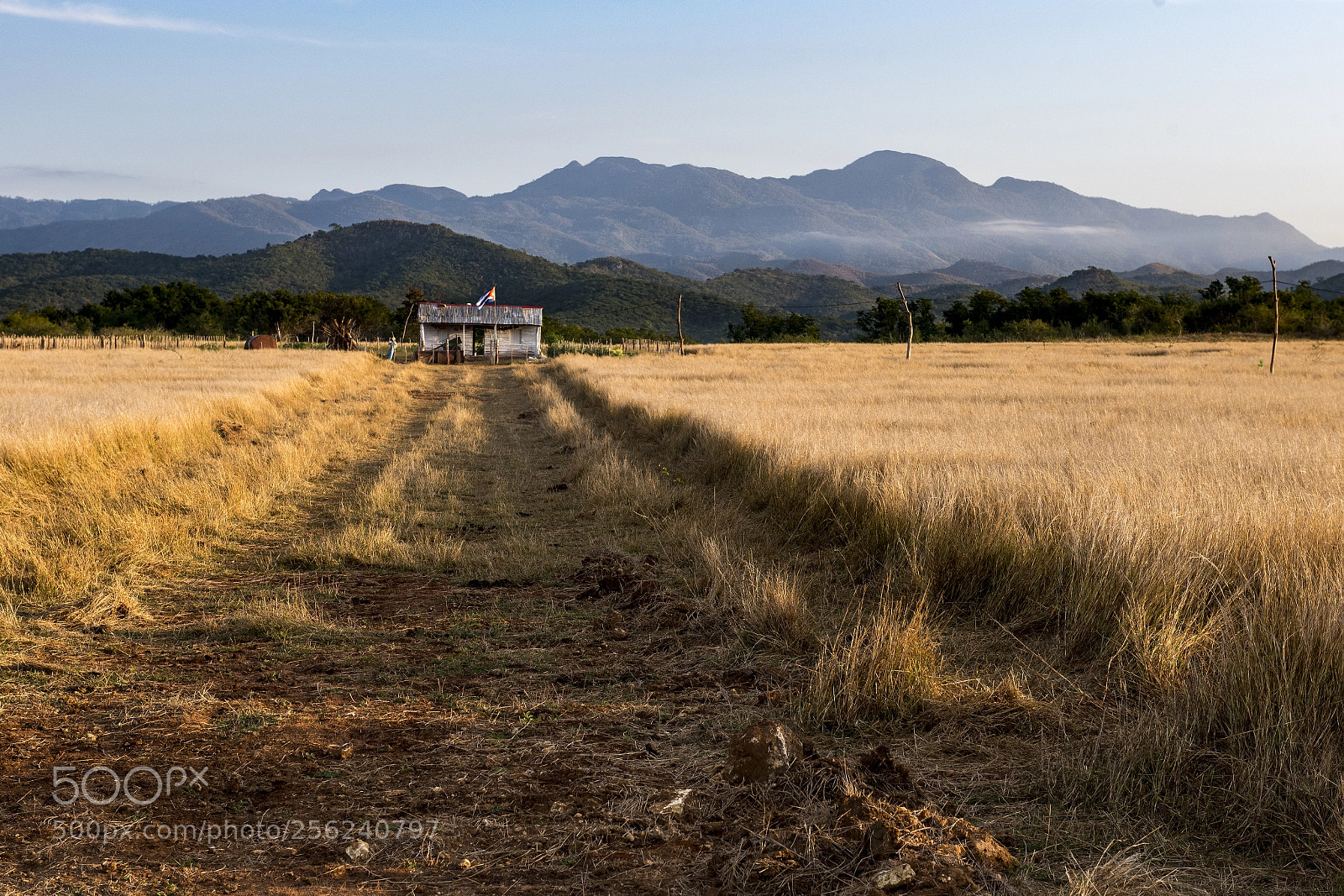 Nikon D750 sample photo. Shed/Сарай photography