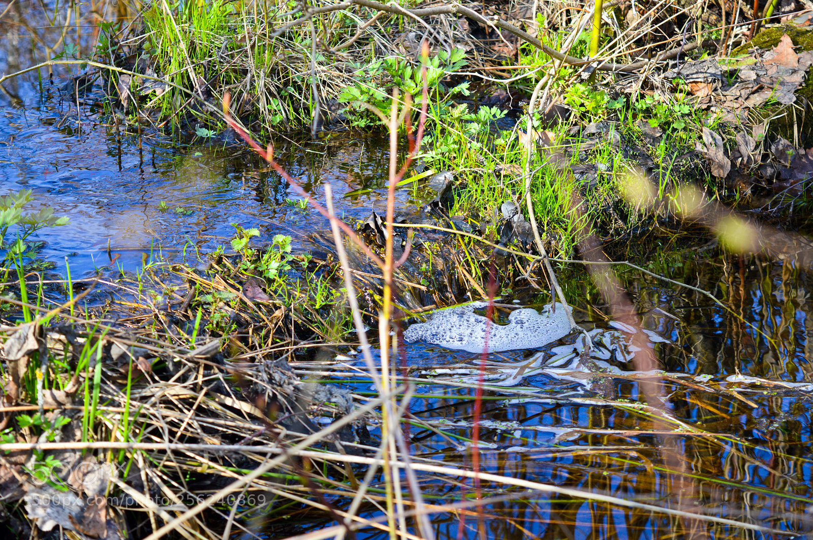 Nikon D3200 sample photo. Untitled photography