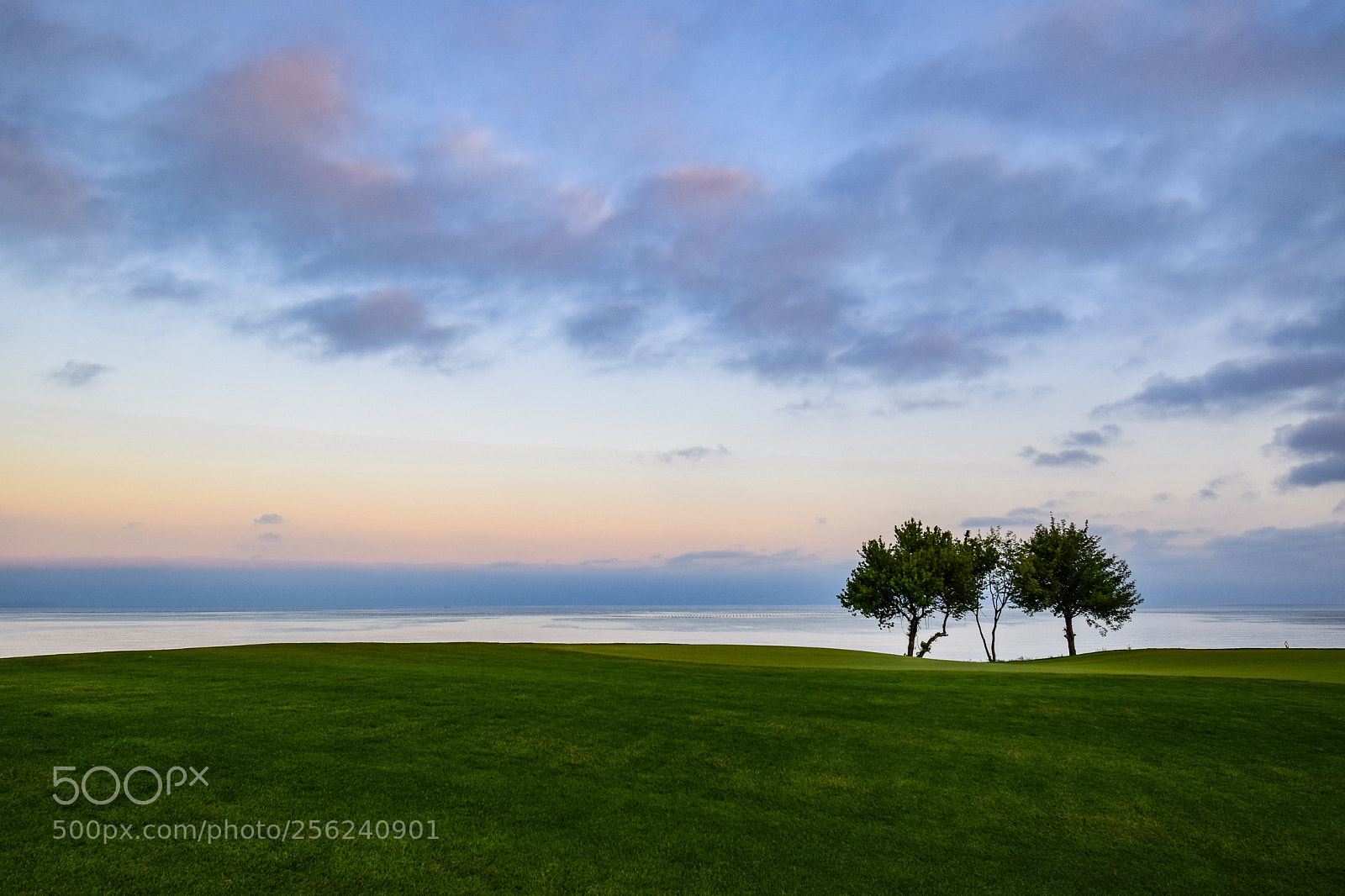 Nikon D3300 sample photo. Golf photography
