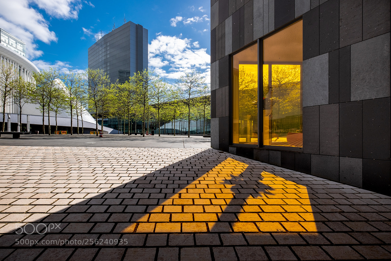 Fujifilm X-T1 sample photo. Light and shadow photography