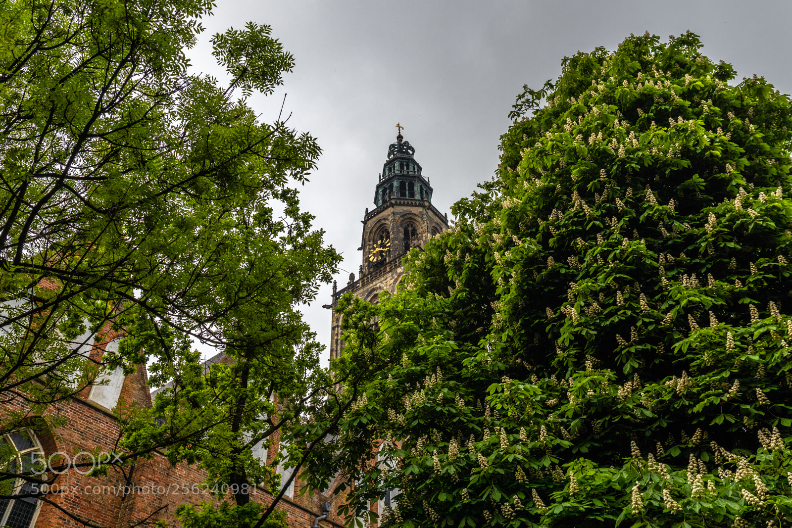 Canon EOS 80D sample photo. Martinikerk photography