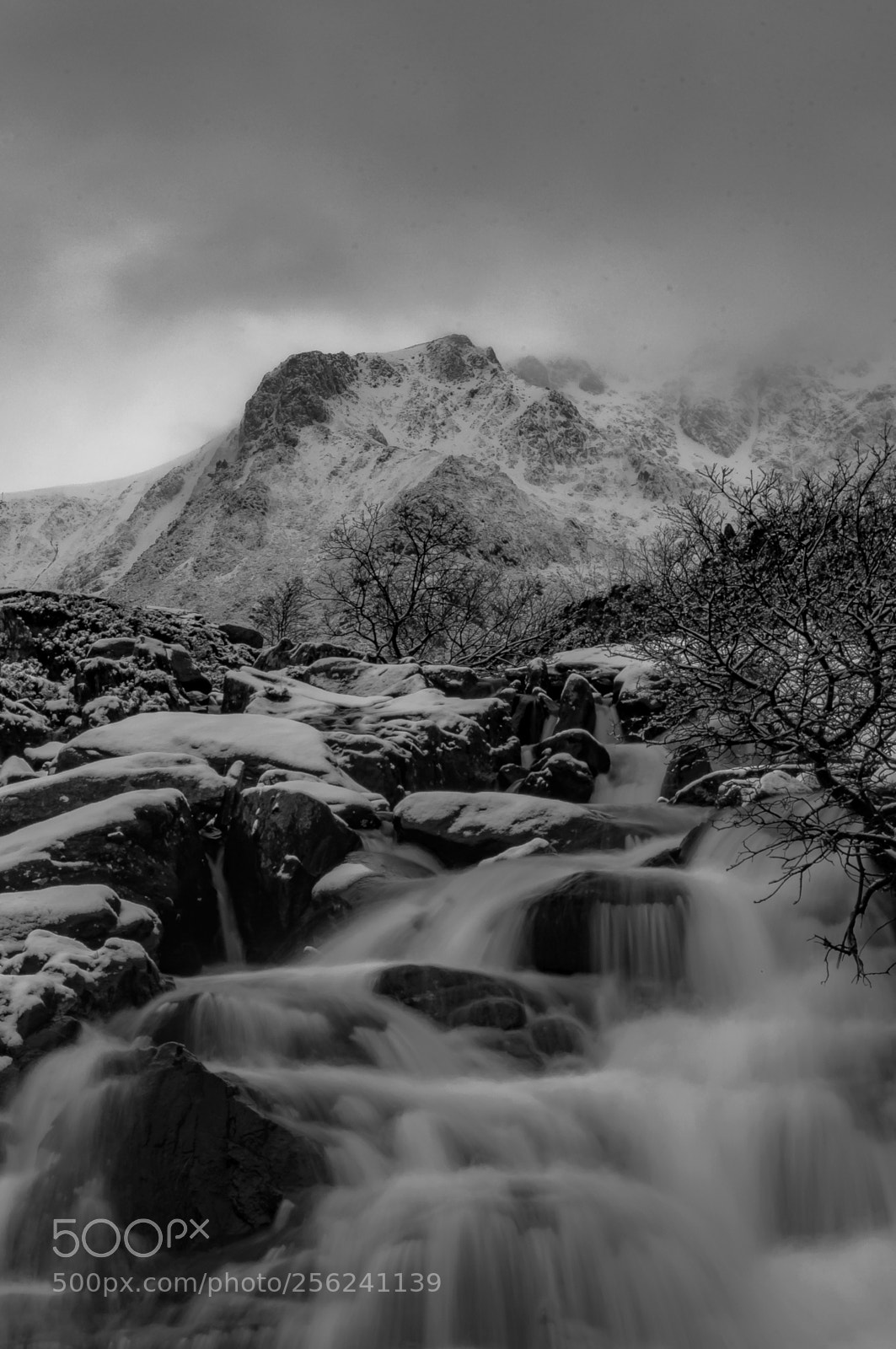 Nikon D90 sample photo. A b&w day photography