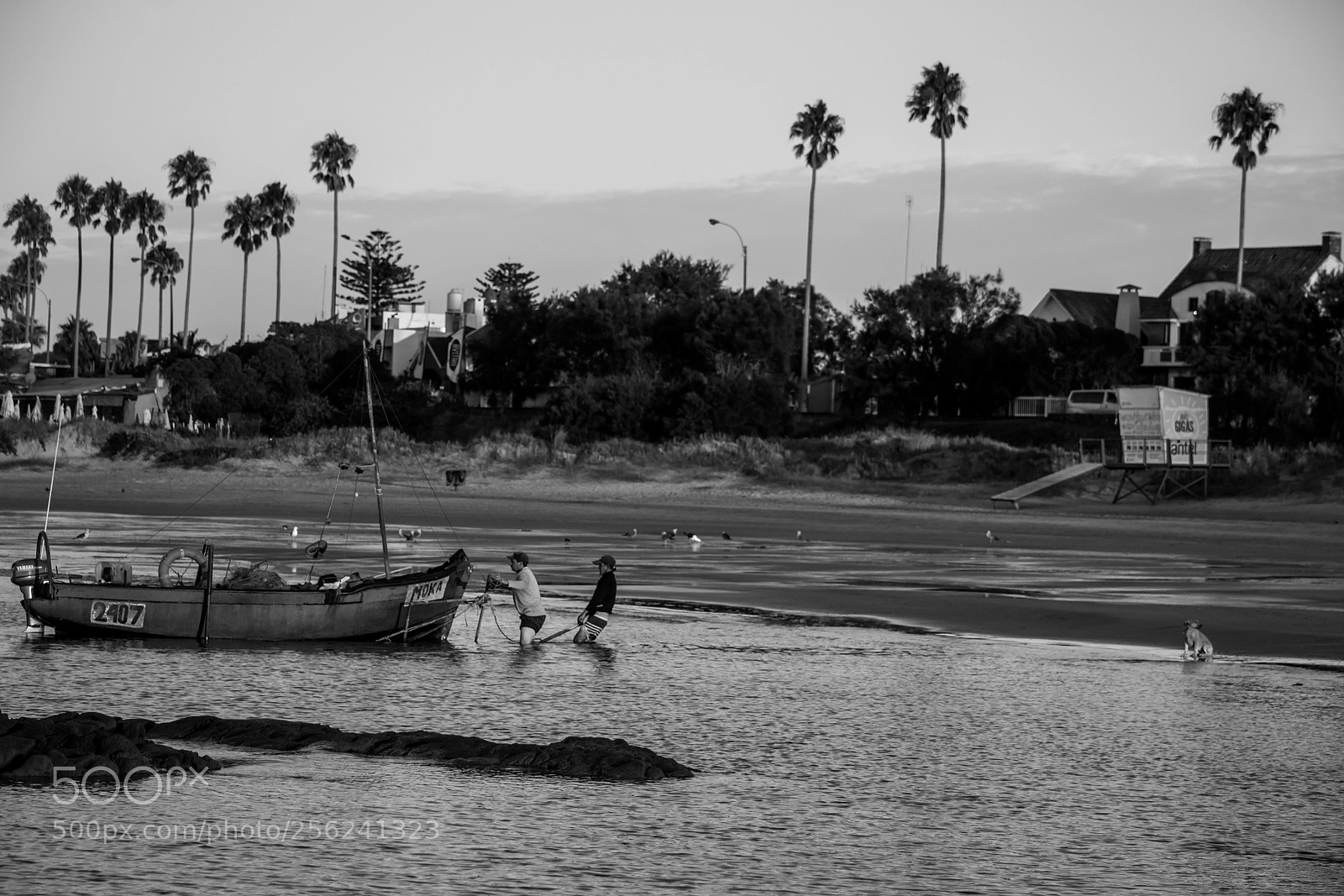 Nikon D3100 sample photo. Take me with you photography