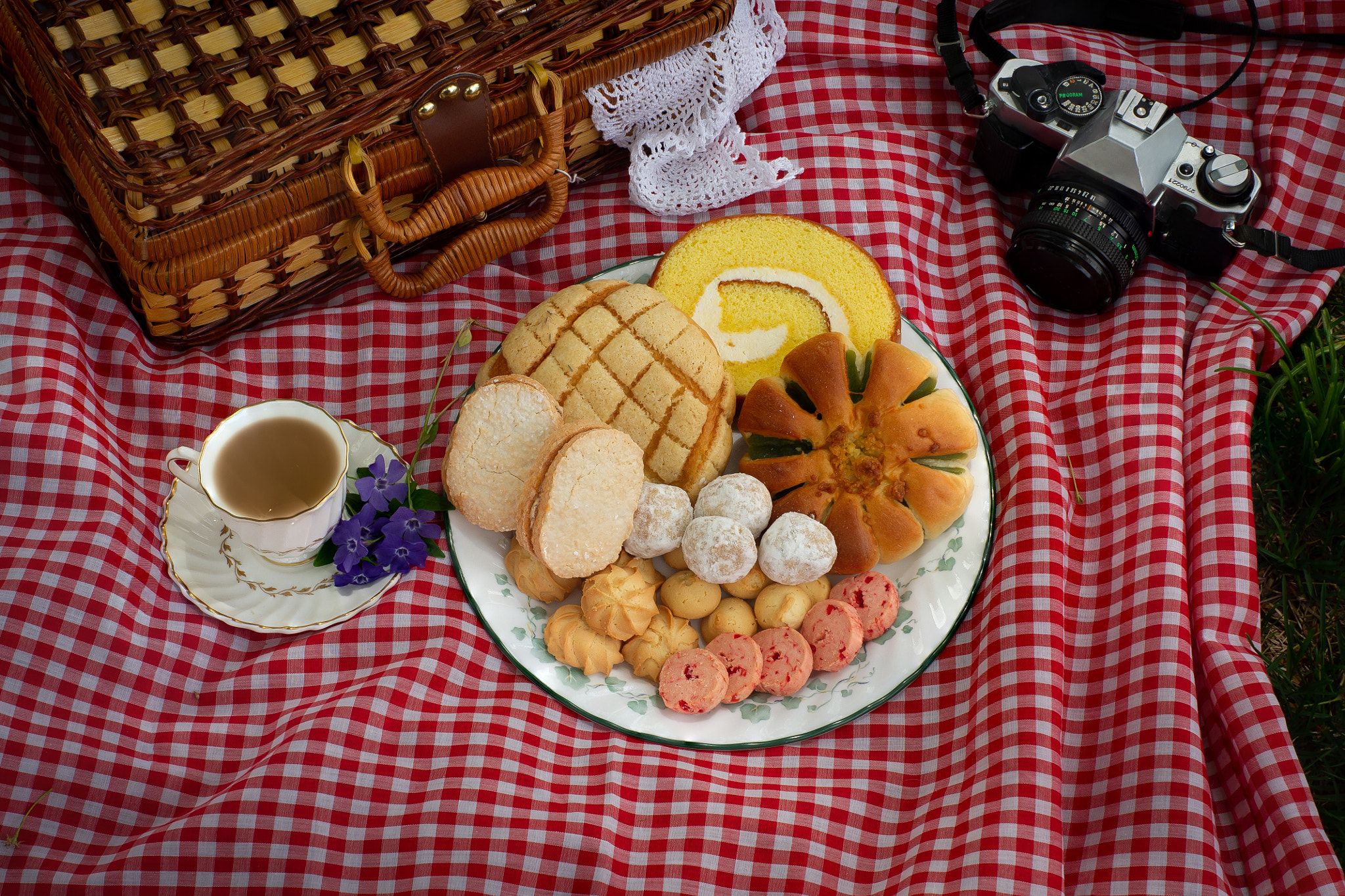 Sony Alpha DSLR-A500 sample photo. Picnic photography