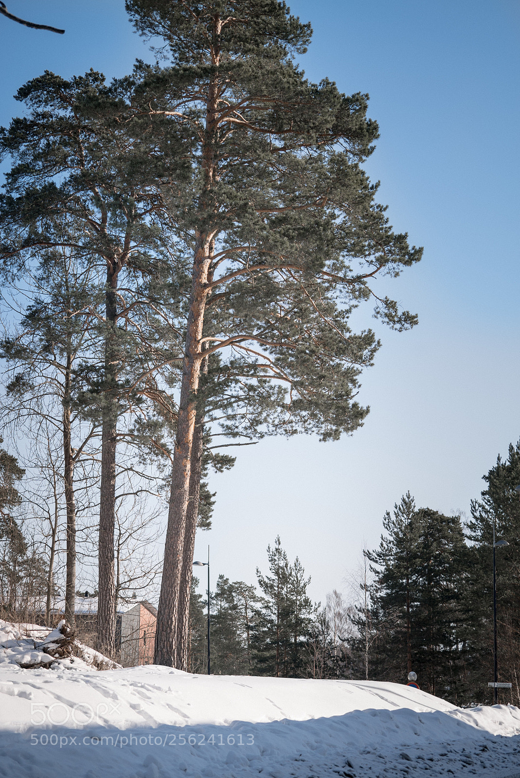 Sony a7S II sample photo. Helsinki photography