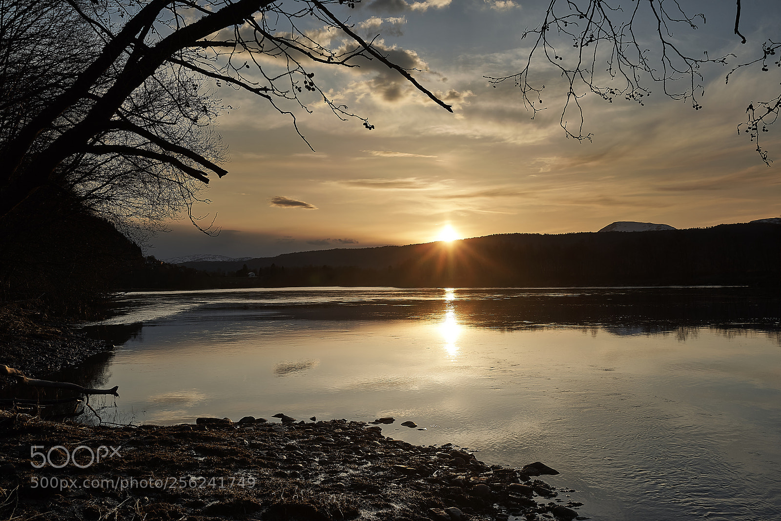 Sony a7R sample photo. Surna photography