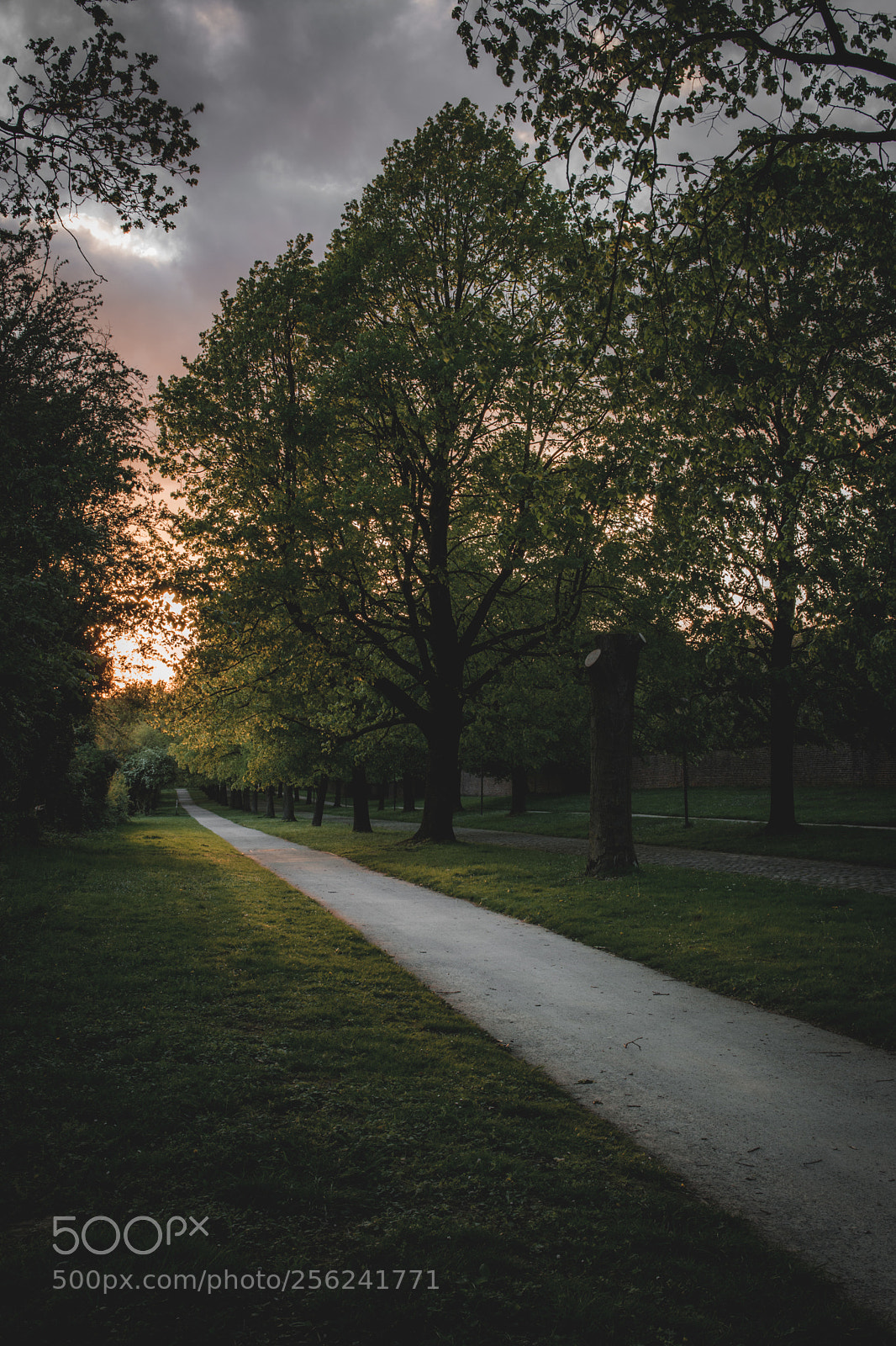 Nikon D7200 sample photo. Sunset photography