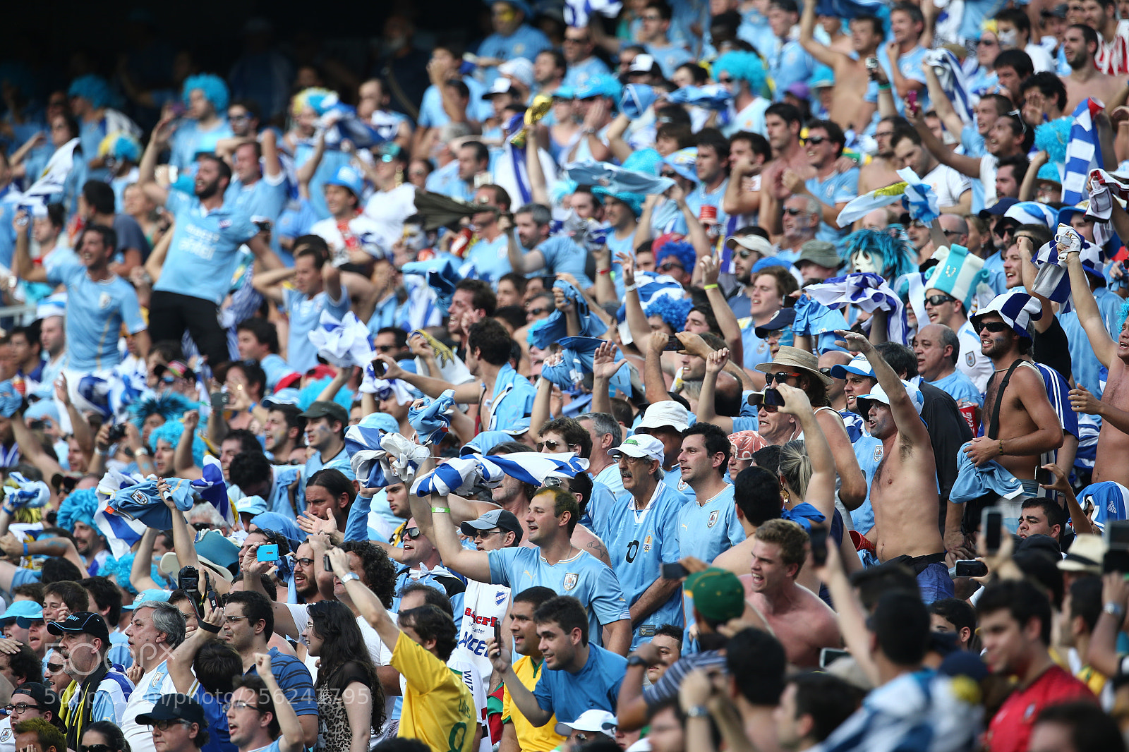 Canon EOS-1D X sample photo. Uruguay fans photography