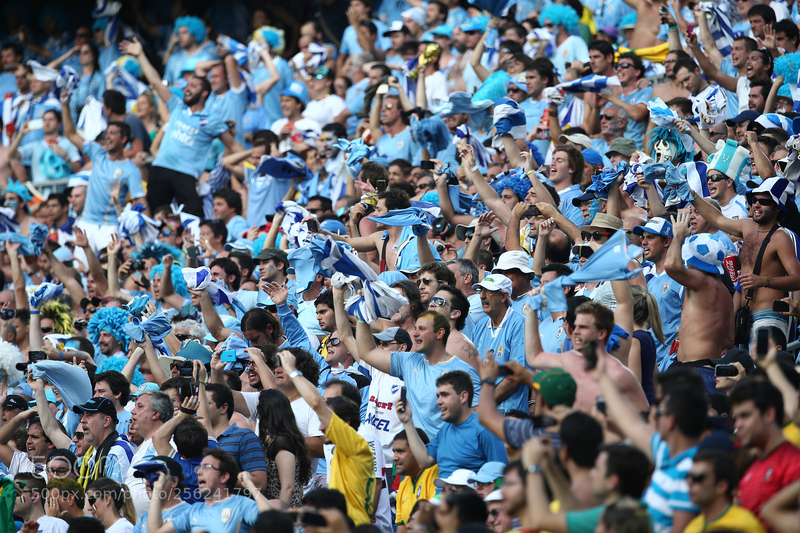 Canon EOS-1D X sample photo. Uruguay fans photography