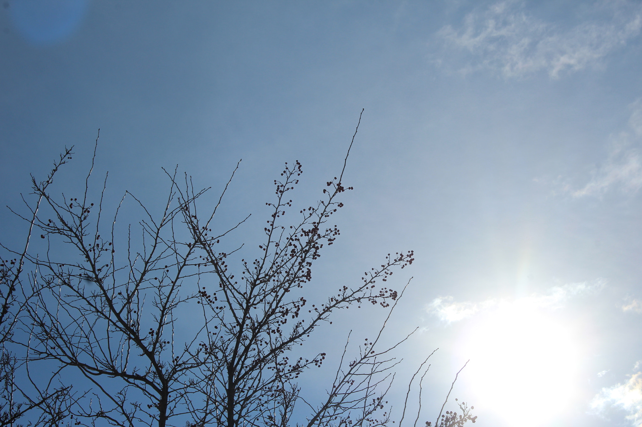 Canon EF-S 18-55mm F3.5-5.6 IS sample photo. Sky photography