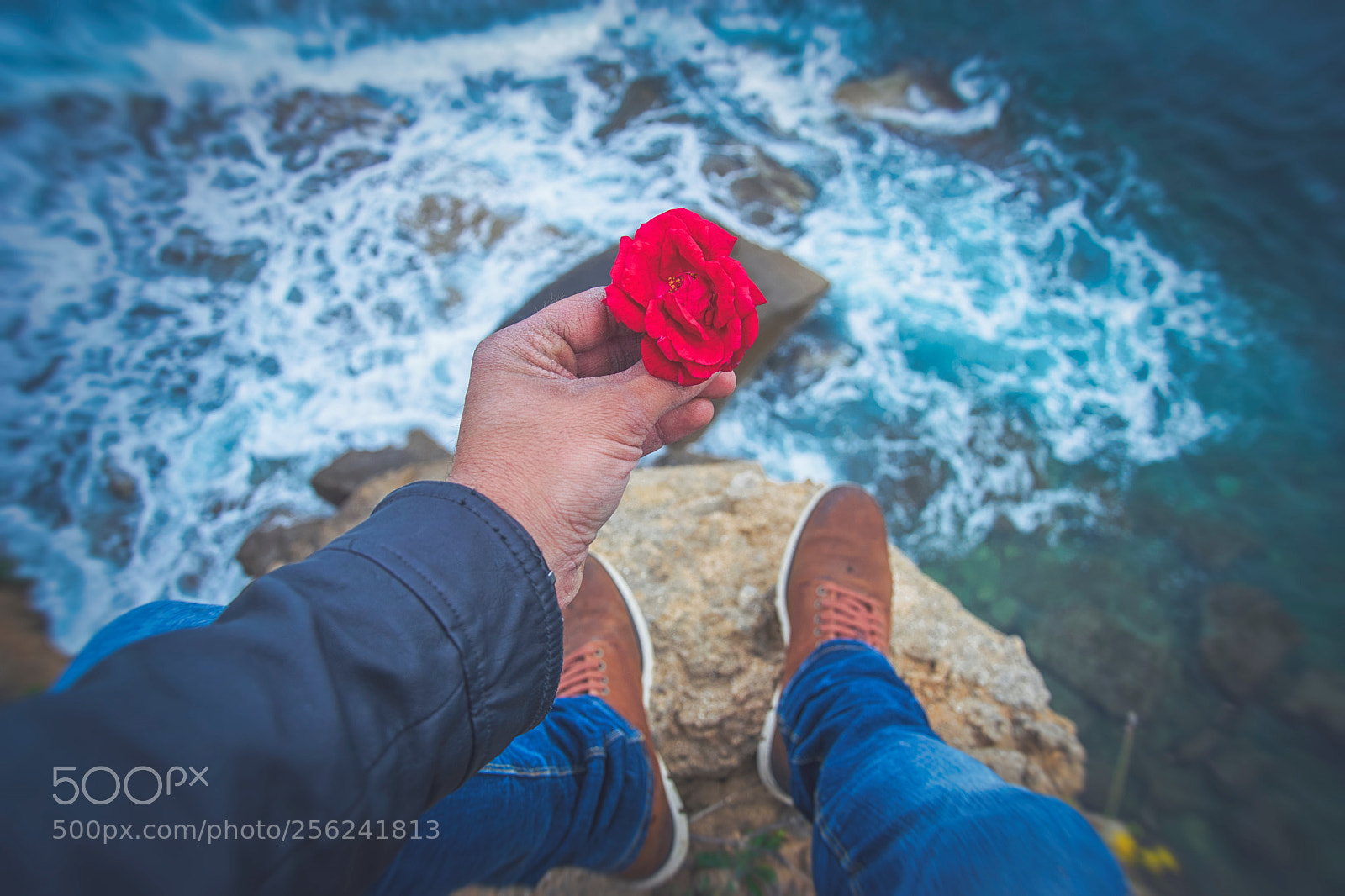 Nikon D3300 sample photo. "rose" photography