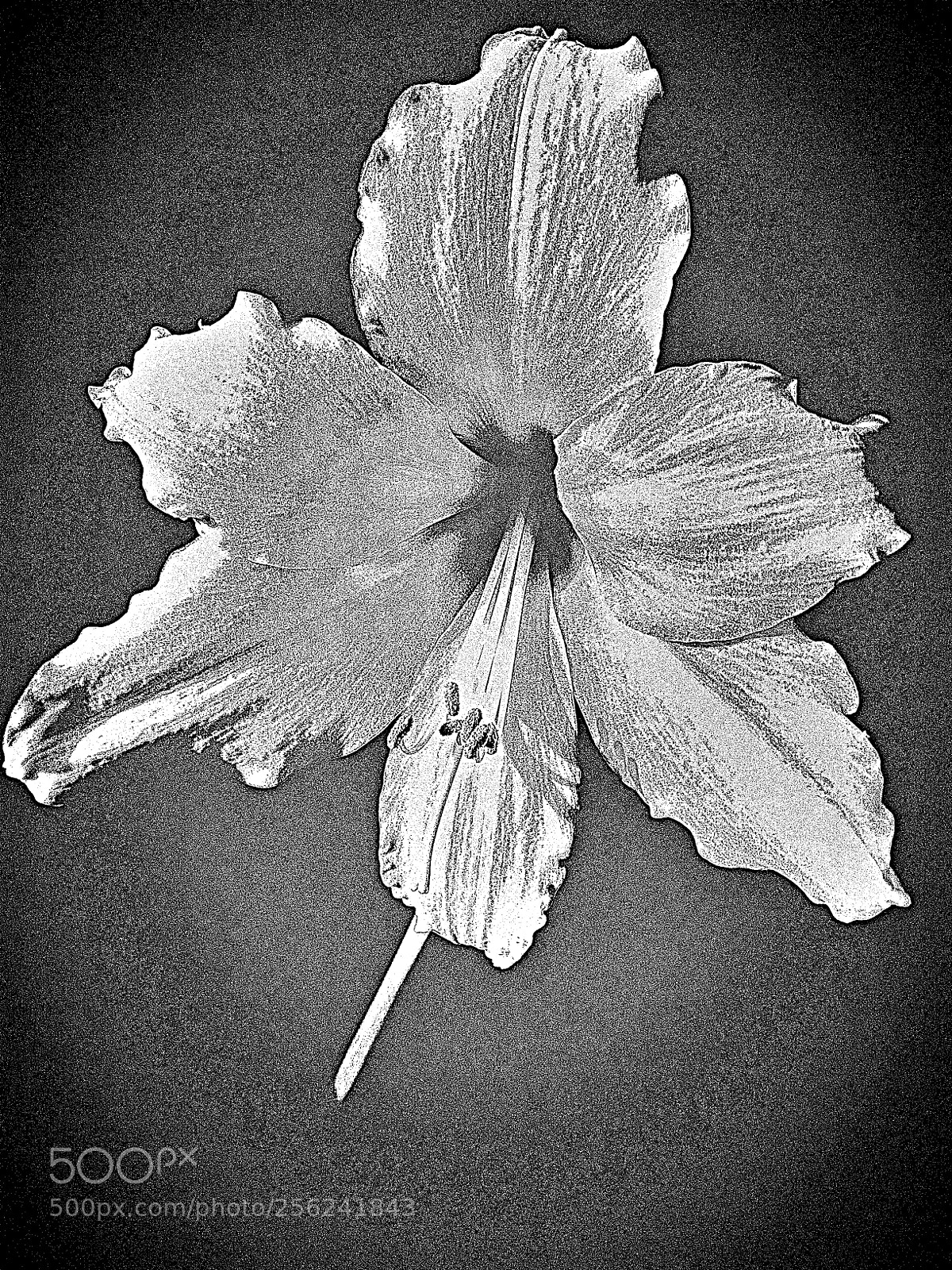 Apple iPhone 5s sample photo. Vision  photography