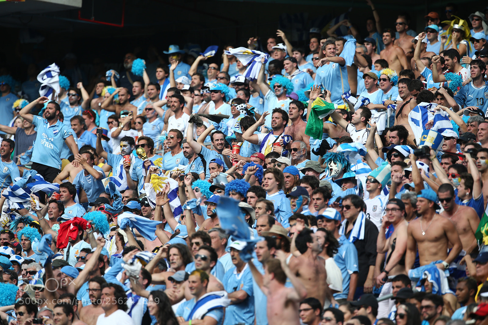 Canon EOS-1D X sample photo. Uruguay fans photography