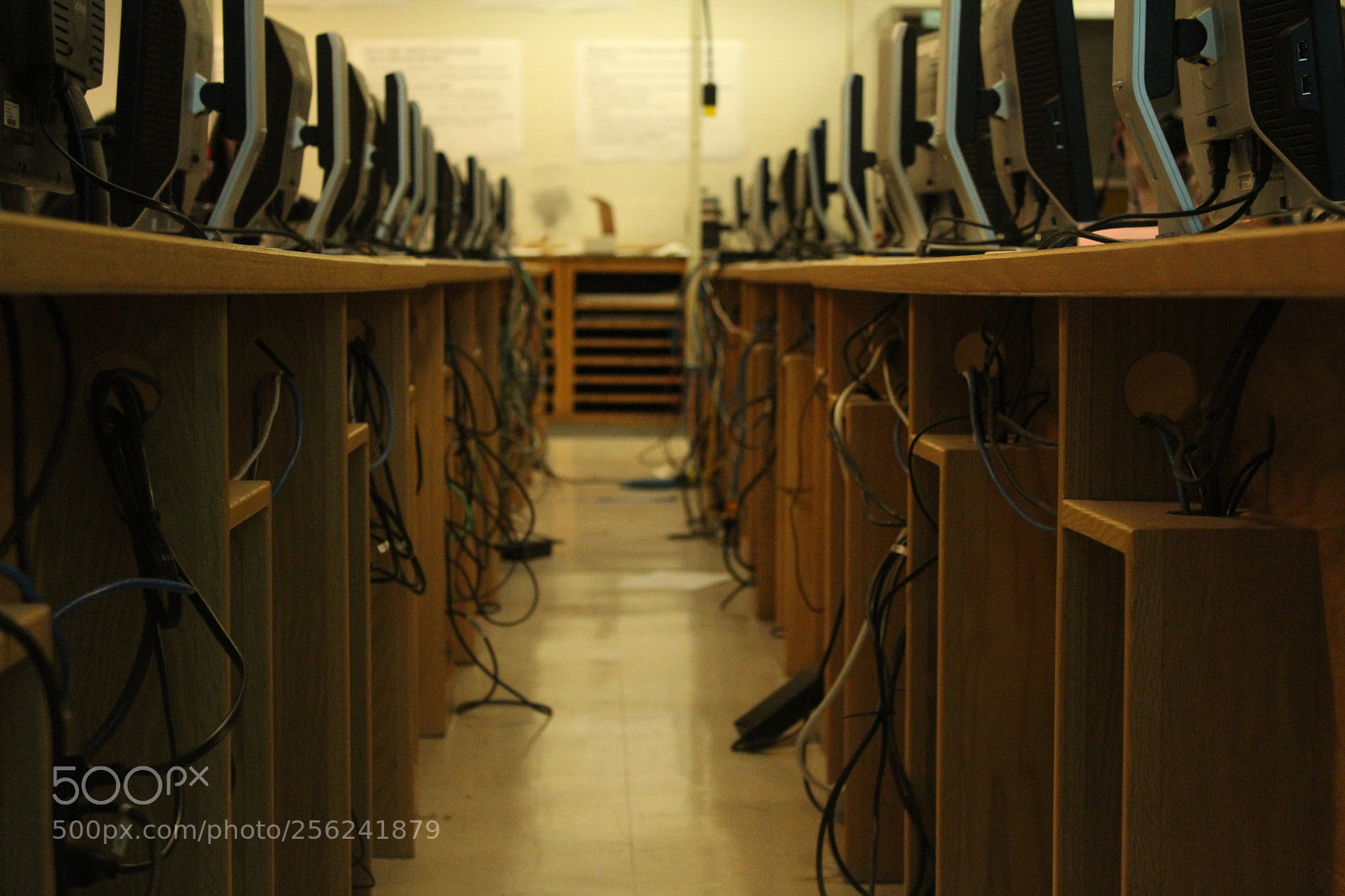 Canon EOS 1200D (EOS Rebel T5 / EOS Kiss X70 / EOS Hi) sample photo. Leading lines photography