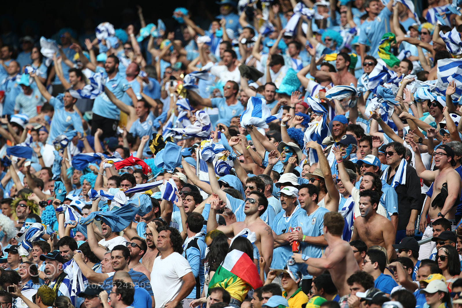 Canon EOS-1D X sample photo. Uruguay fans photography