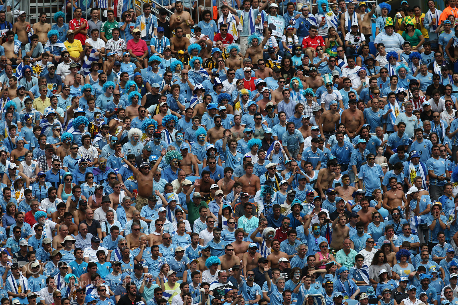 Canon EOS-1D X sample photo. Uruguay fans photography