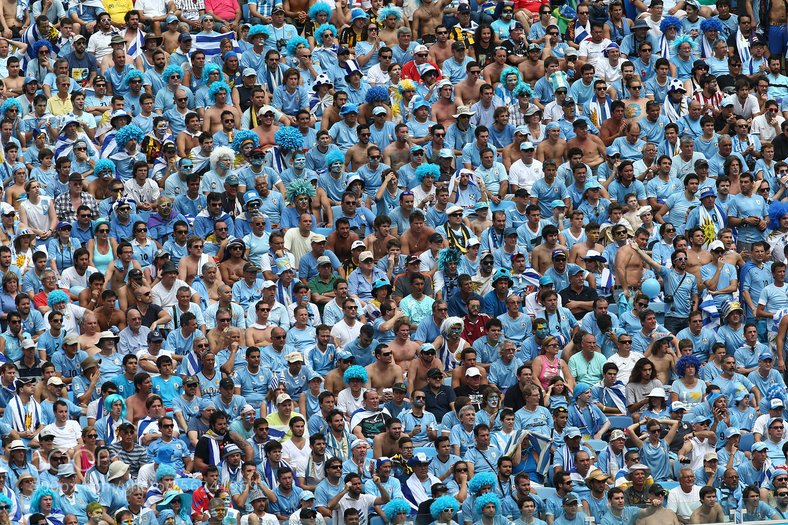 Canon EOS-1D X sample photo. Uruguay fans photography