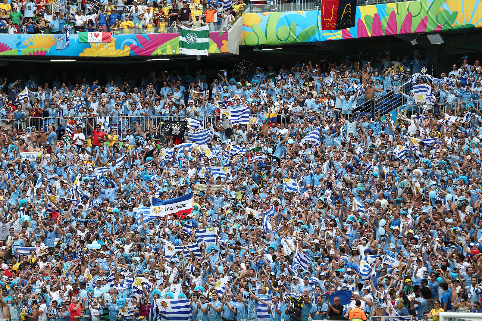 Canon EOS-1D X sample photo. Uruguay fans photography