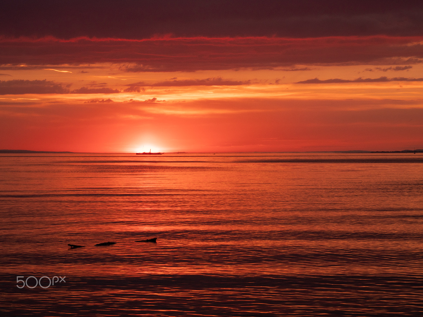 Panasonic Lumix DC-GX9 sample photo. Sunset bodensee 2 photography