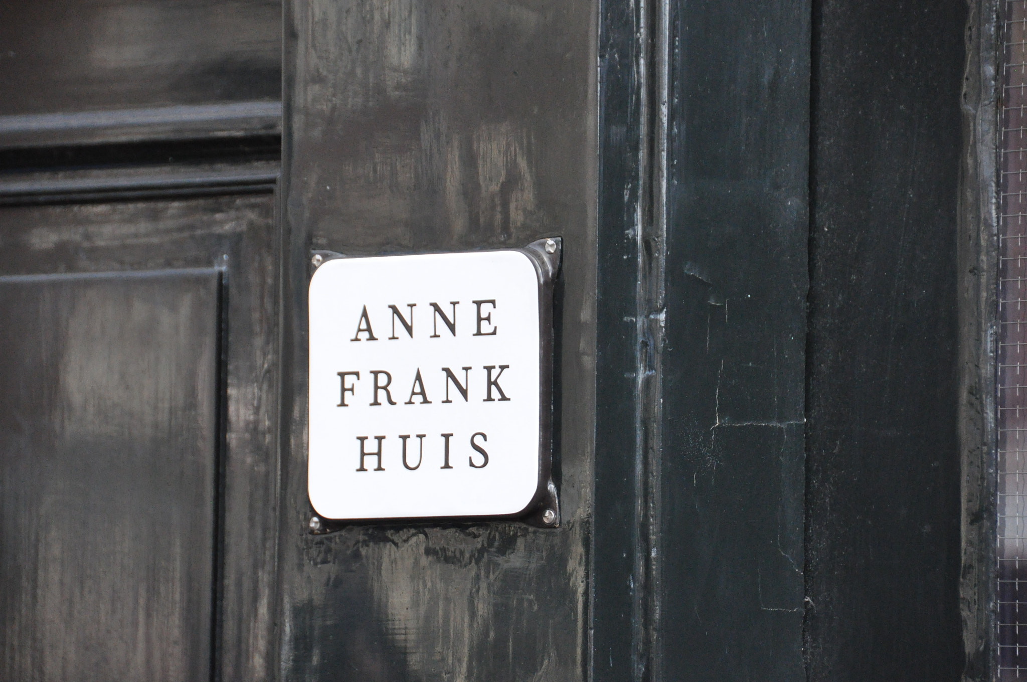 Nikon D90 sample photo. Holand photography