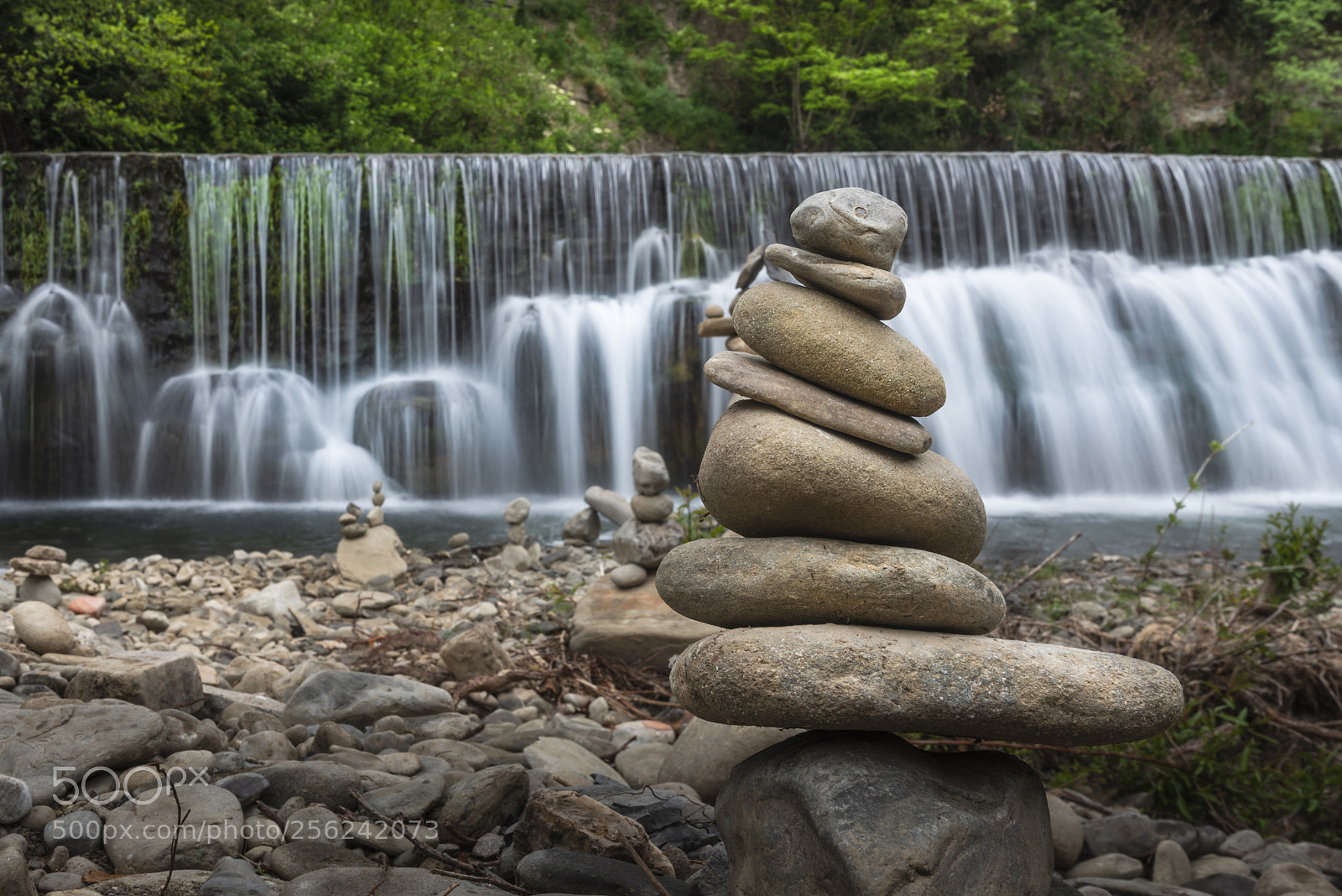 Nikon D750 sample photo. Untitled photography
