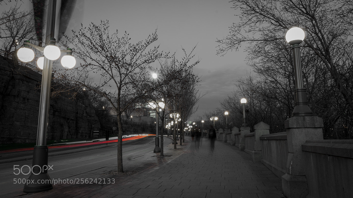 Sony a6000 sample photo. Walk photography