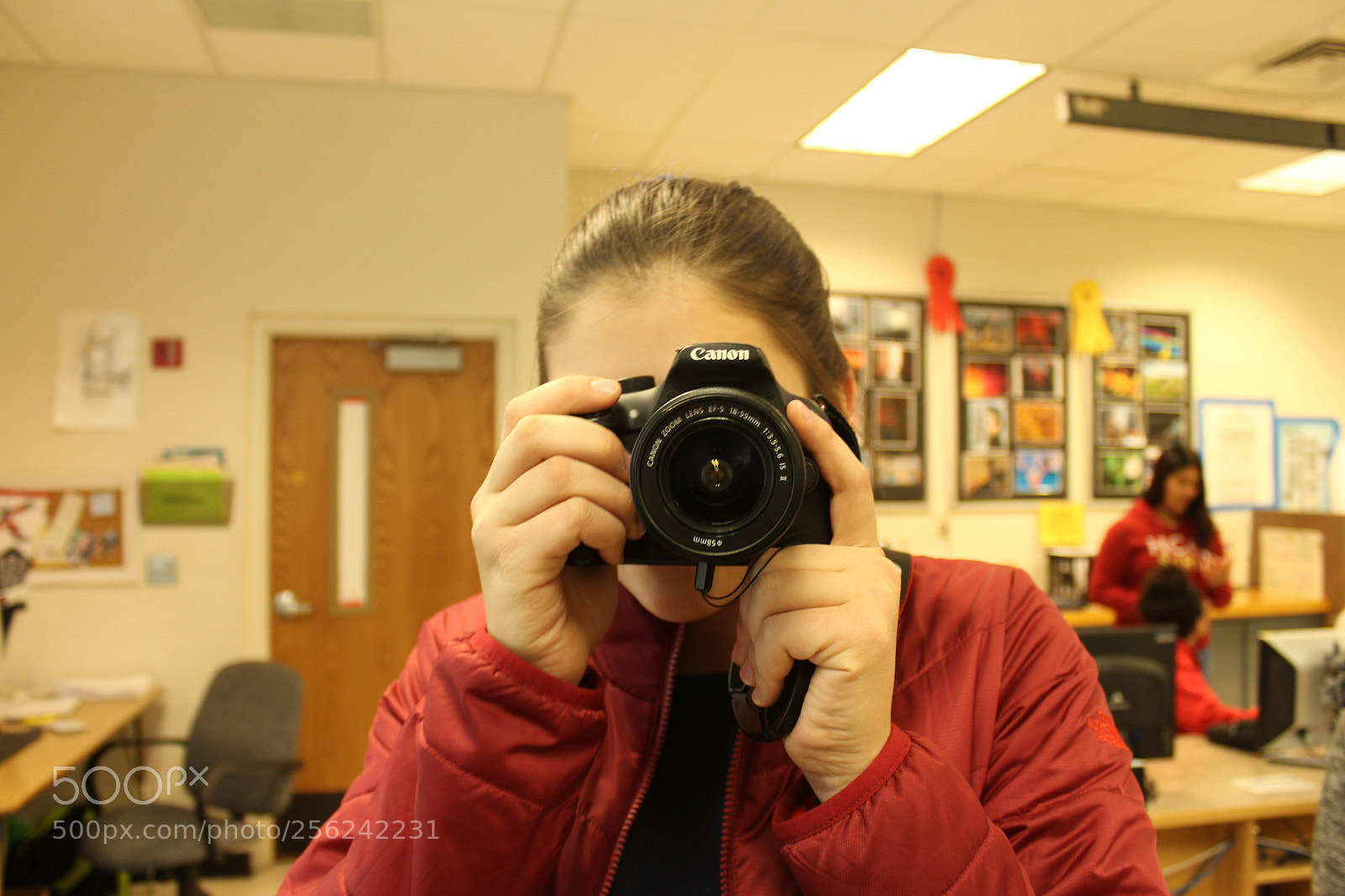Canon EOS 1200D (EOS Rebel T5 / EOS Kiss X70 / EOS Hi) sample photo. Framing photography