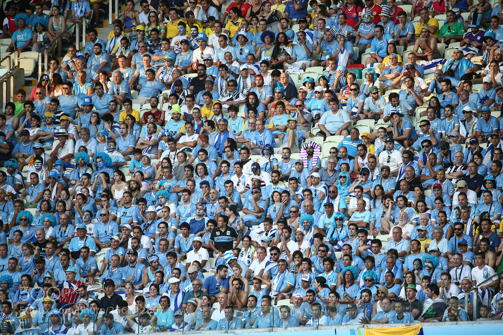 Canon EOS-1D X sample photo. Uruguay fans photography