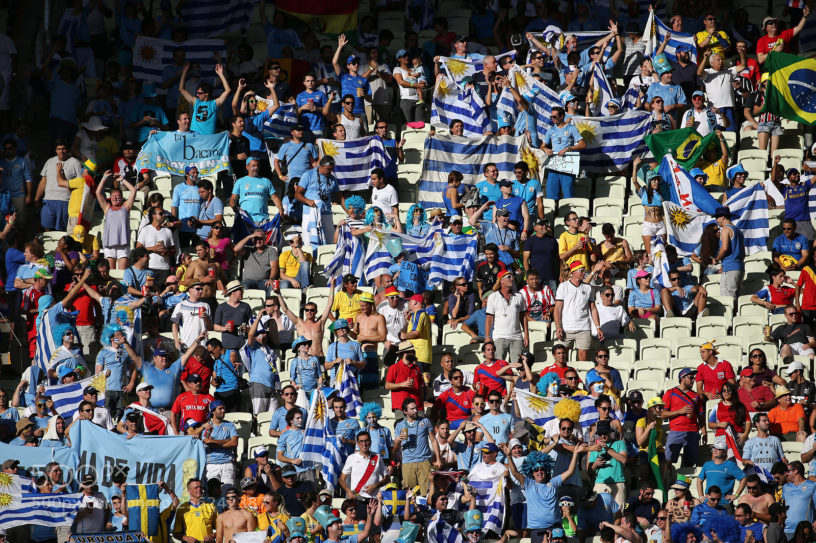 Canon EOS-1D X sample photo. Uruguay fans photography
