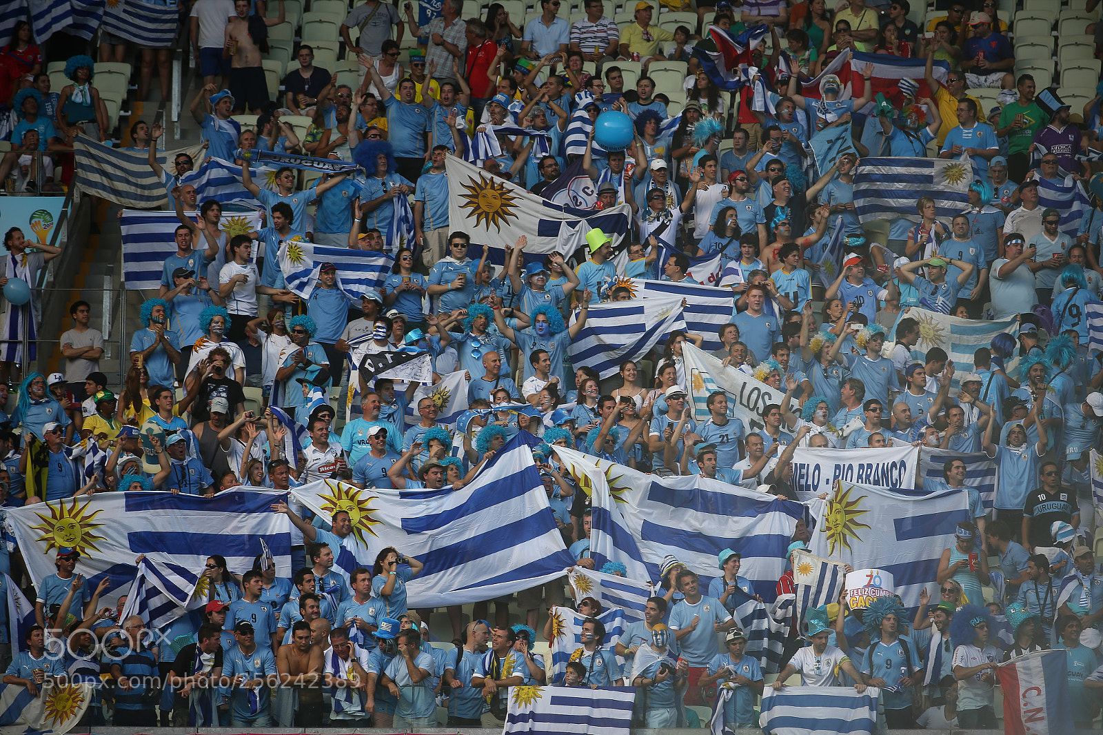 Canon EOS-1D X sample photo. Uruguay fans photography