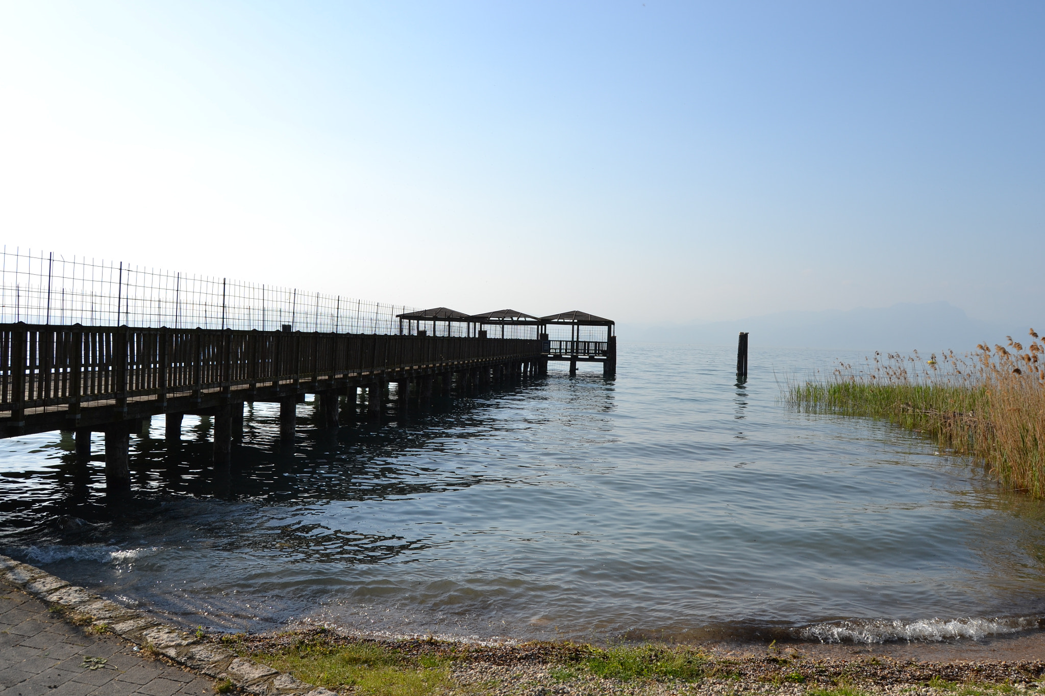 Nikon D3100 sample photo