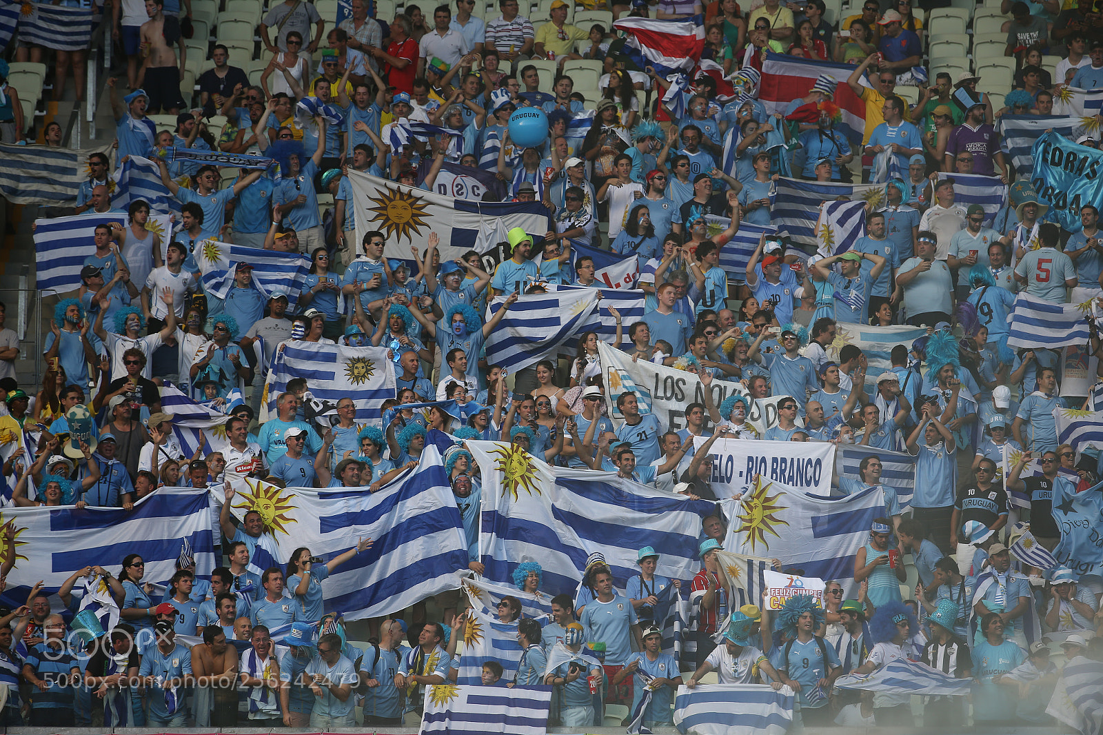 Canon EOS-1D X sample photo. Uruguay fans photography