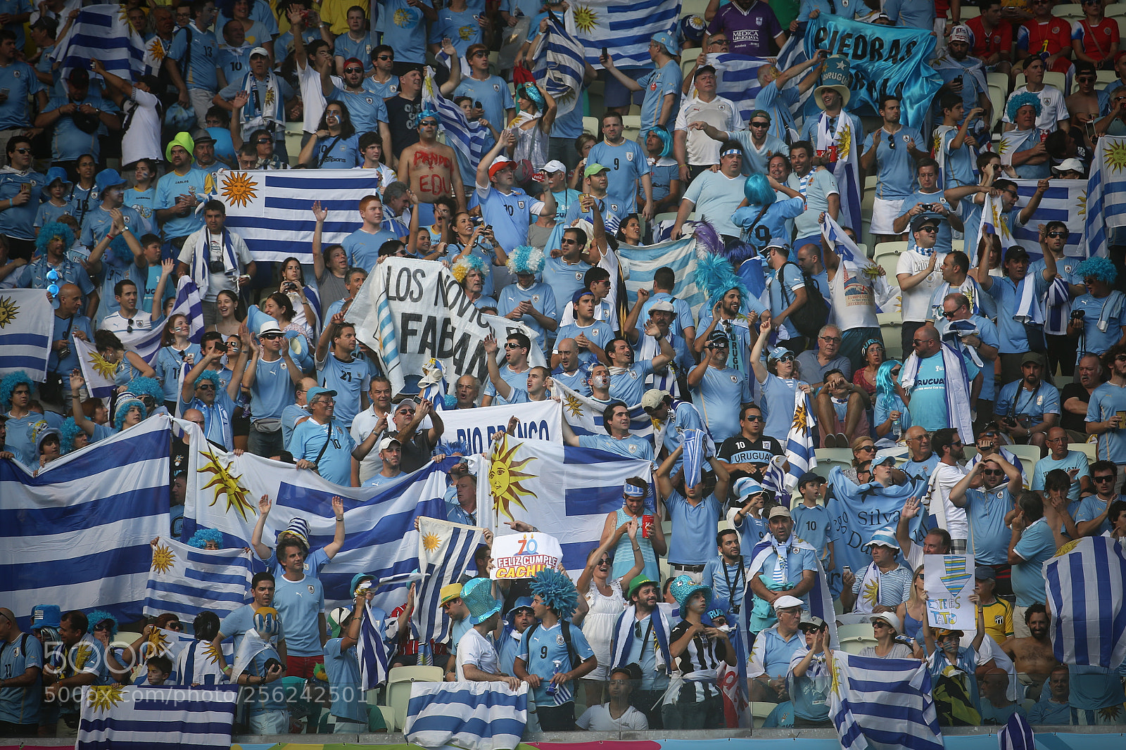 Canon EOS-1D X sample photo. Uruguay fans photography