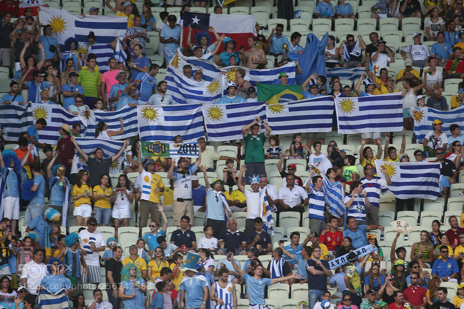 Canon EOS-1D X sample photo. Uruguay fans photography