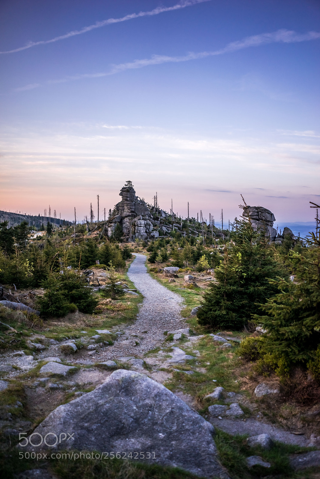 Sony a7R sample photo. Tristolecnik ii photography