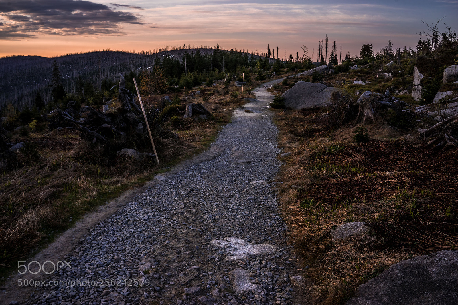 Sony a7R sample photo. Tristolecnik iii photography