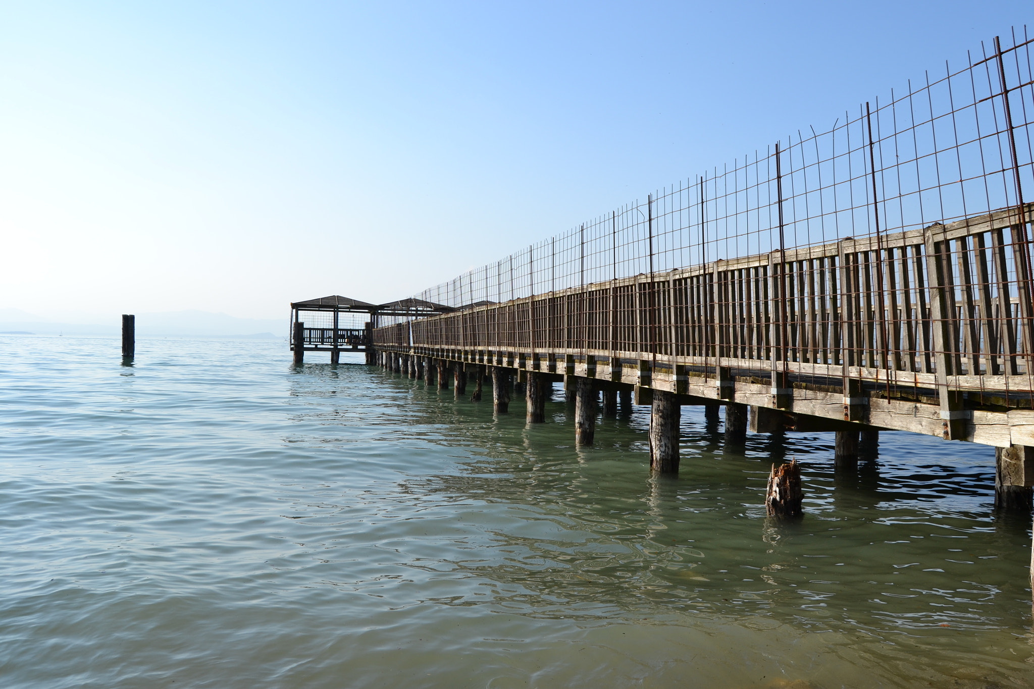 Nikon D3100 sample photo