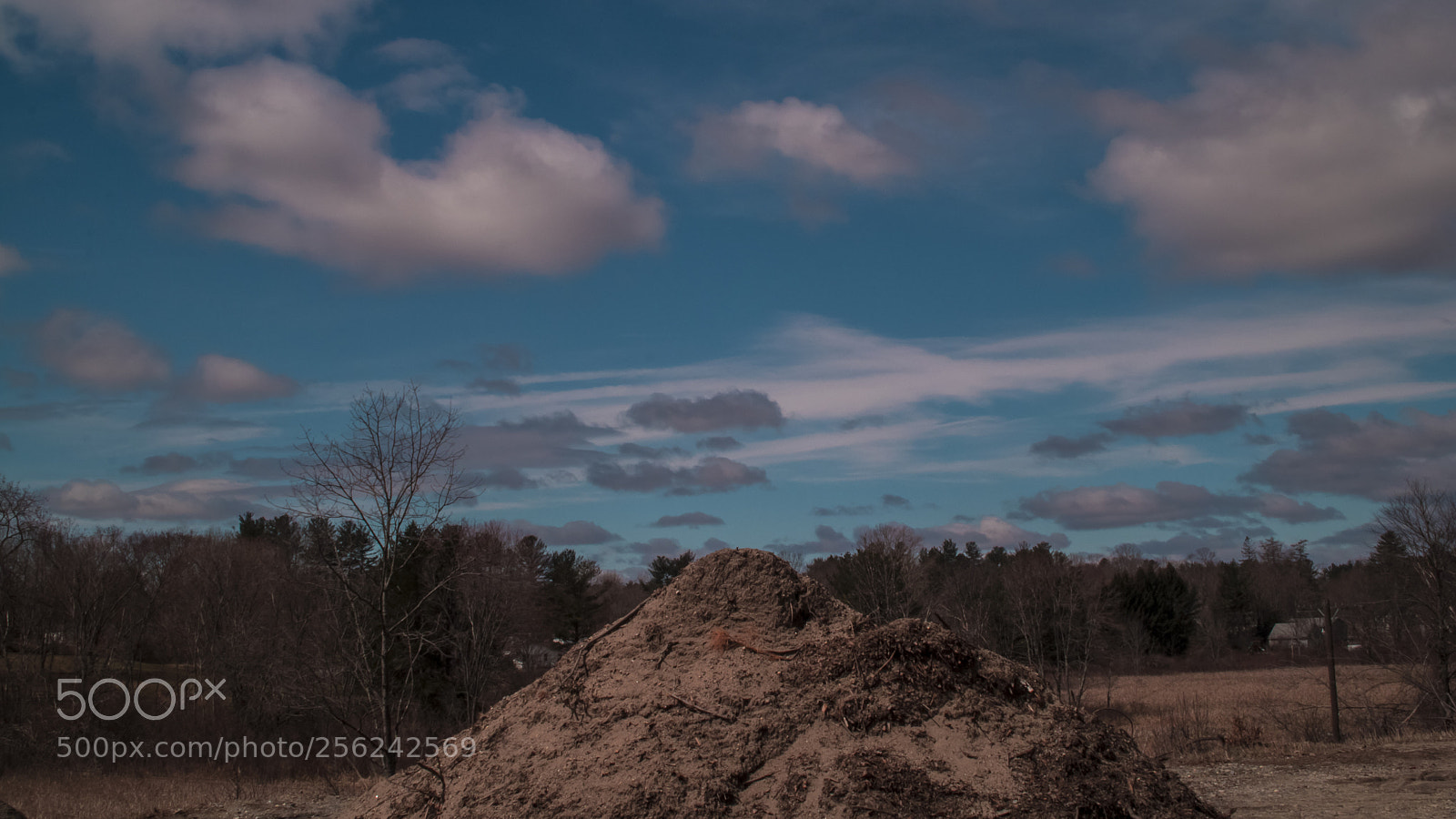 Canon EOS 80D sample photo. Side of the road photography