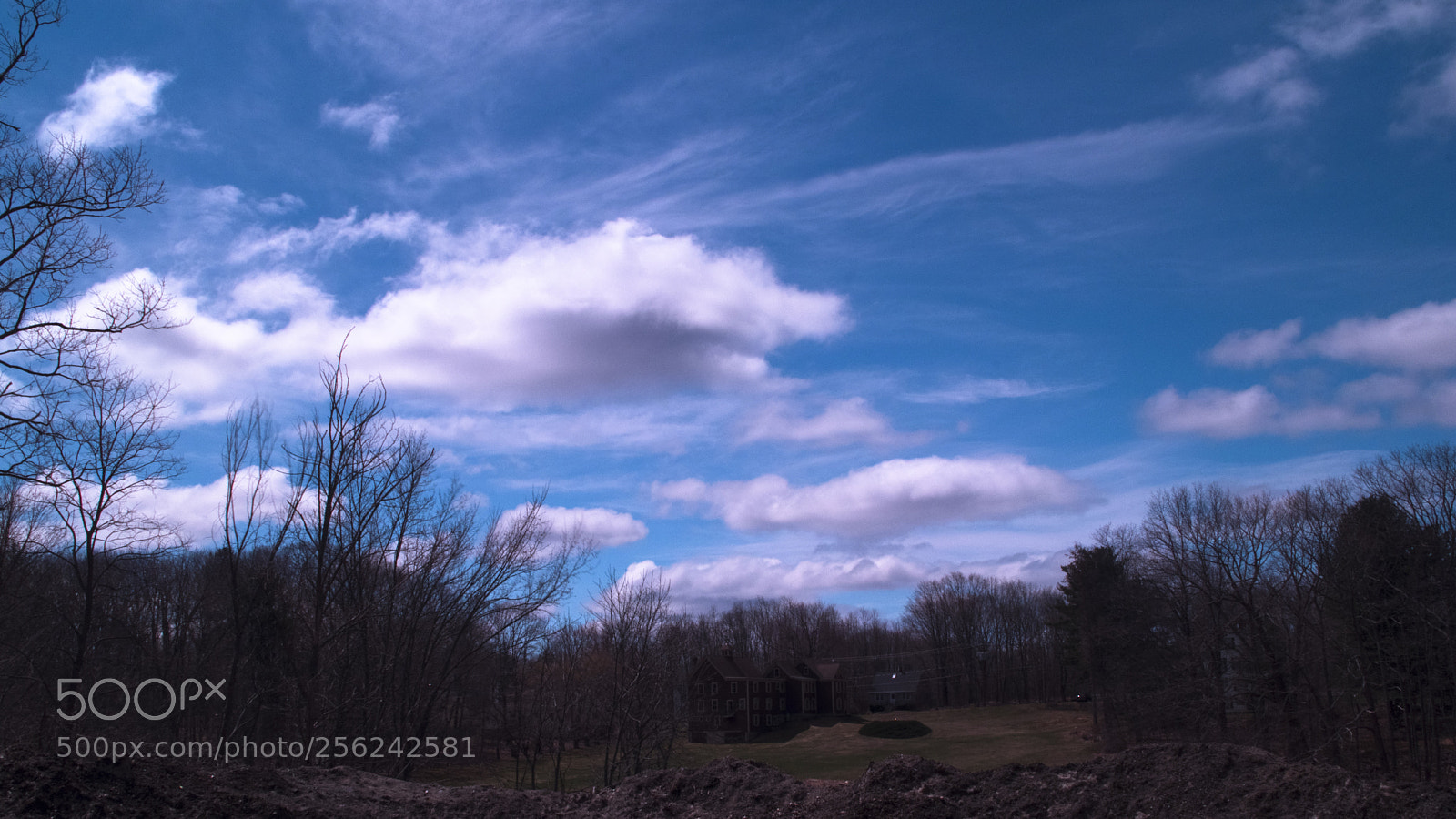 Canon EOS 80D sample photo. Side of the road photography