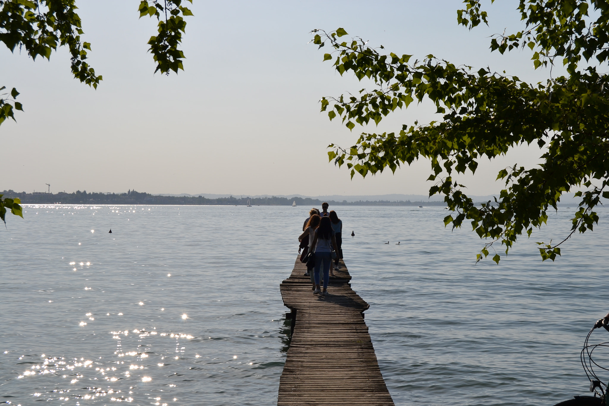 Nikon D3100 sample photo