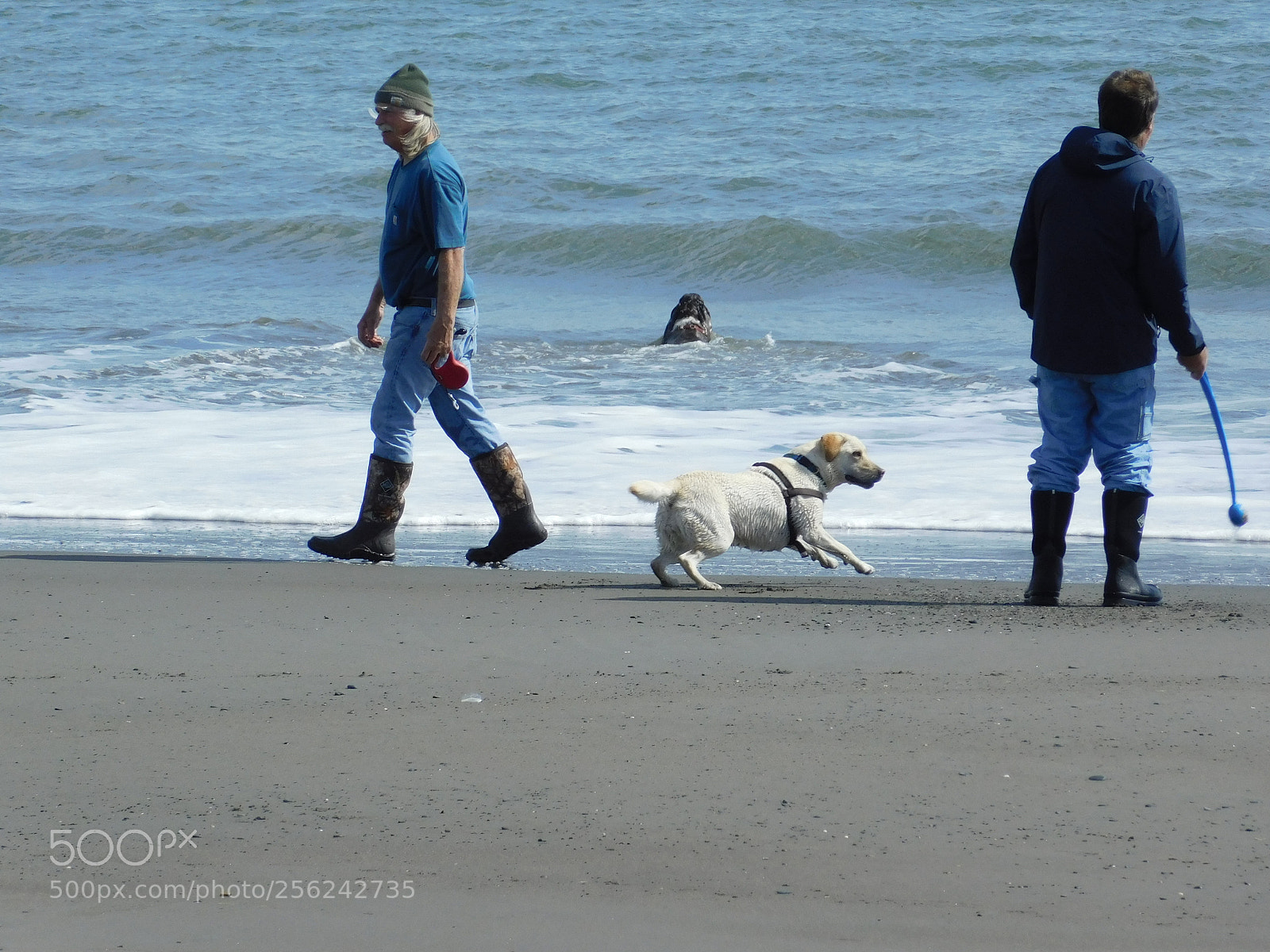 Nikon Coolpix B500 sample photo. Fun at the beach photography