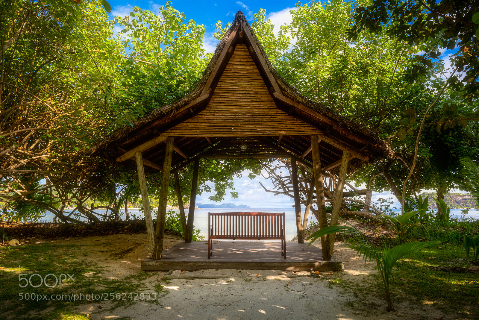 Nikon D810 sample photo. Waiting room photography