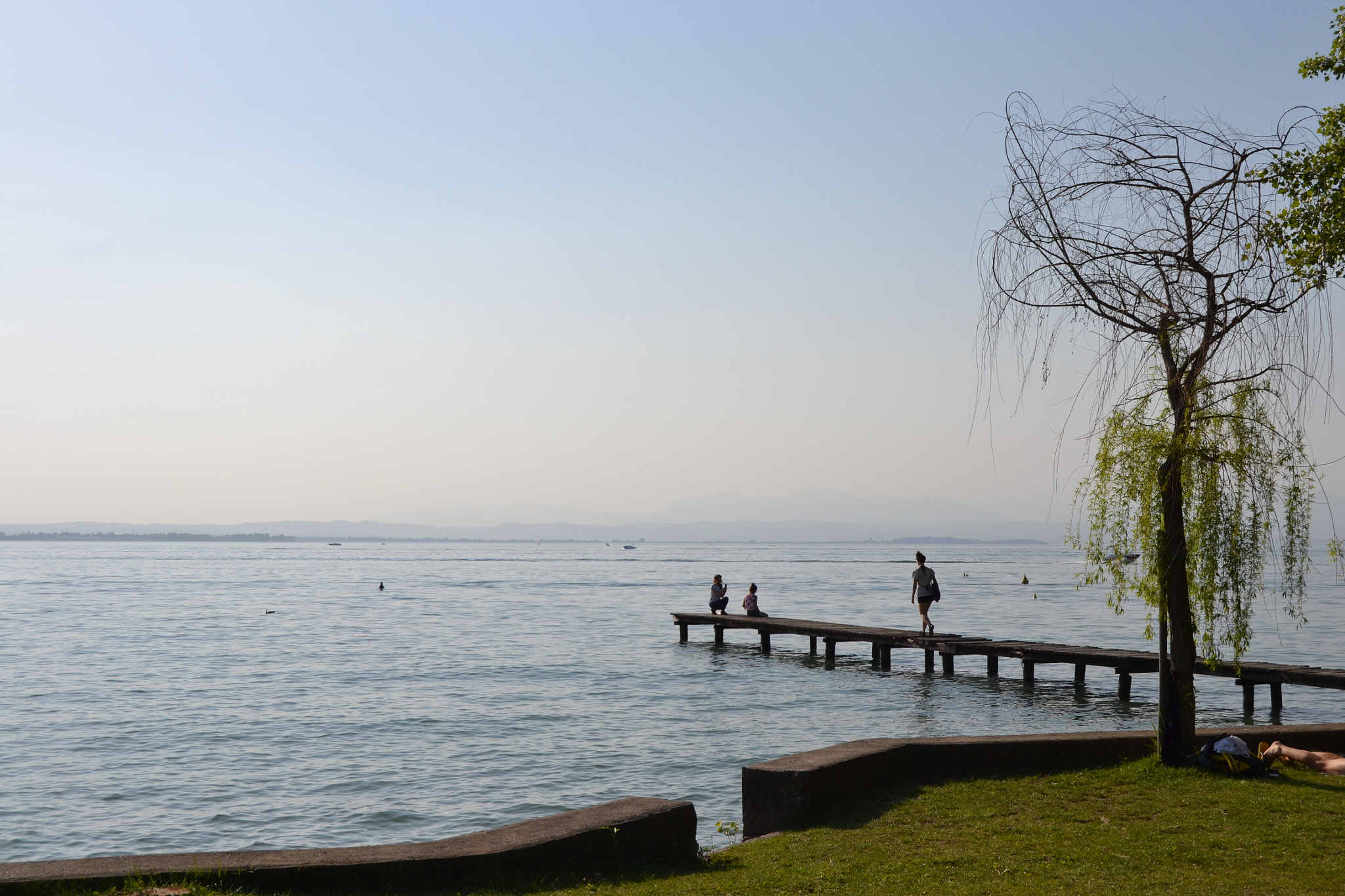 Nikon D3100 sample photo
