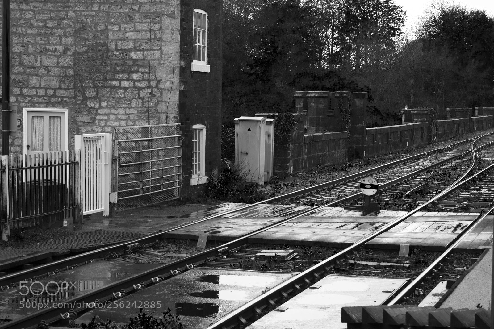 Nikon D3300 sample photo. Wet rails photography