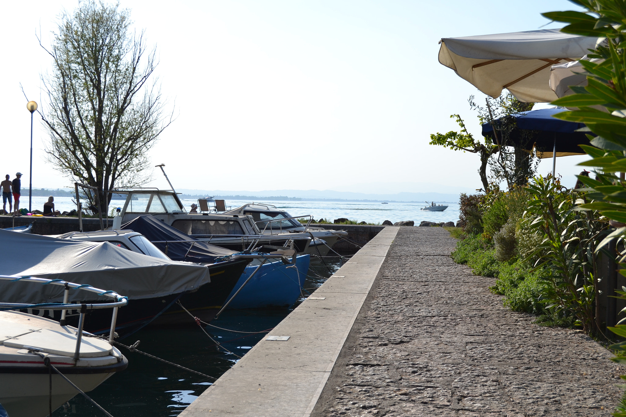 Nikon D3100 sample photo