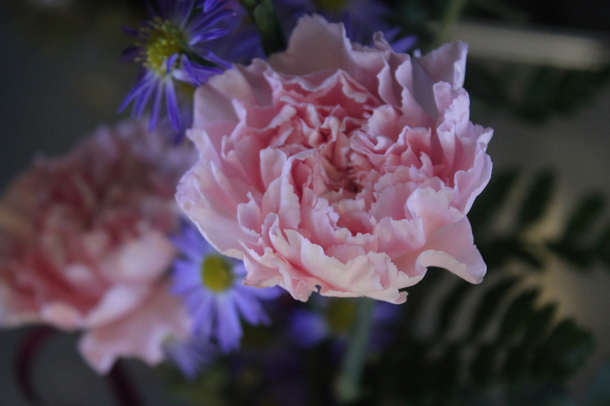 Canon EF-S 18-55mm F3.5-5.6 IS sample photo. Flowers photography